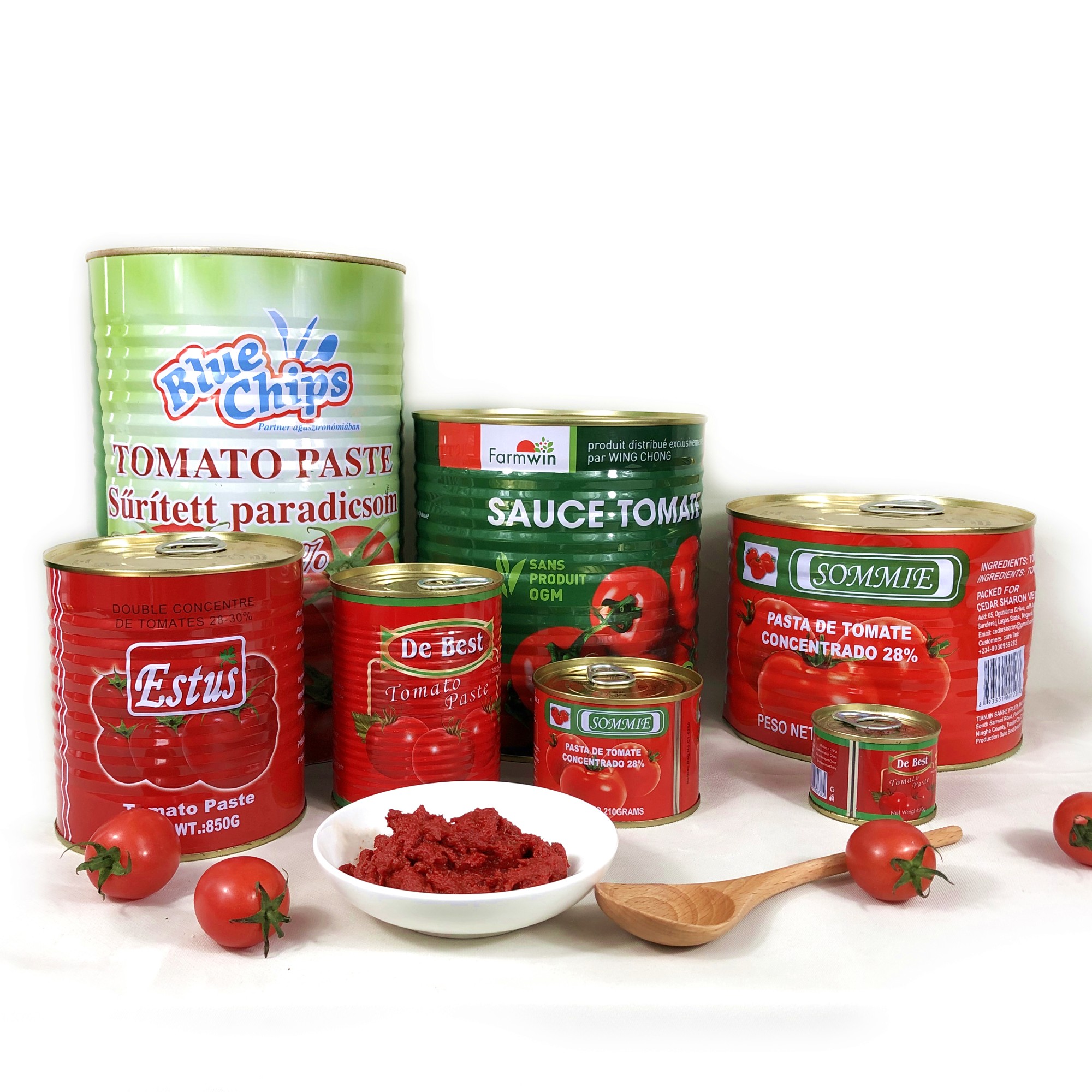 Canned tomato paste 4500g